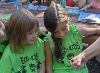 Eco Kids