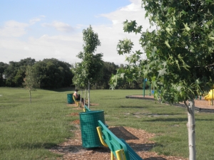  Sweetgum trees planted at Cranberry Elementary! 
