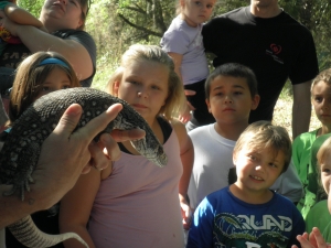  Eco-Kids explore the world of reptiles! 