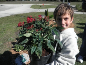  Jack and his one-pot butterfly garden 