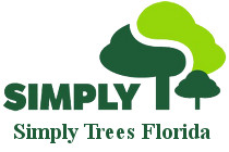 Simply Trees